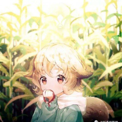 这才是减脂餐的真正物价